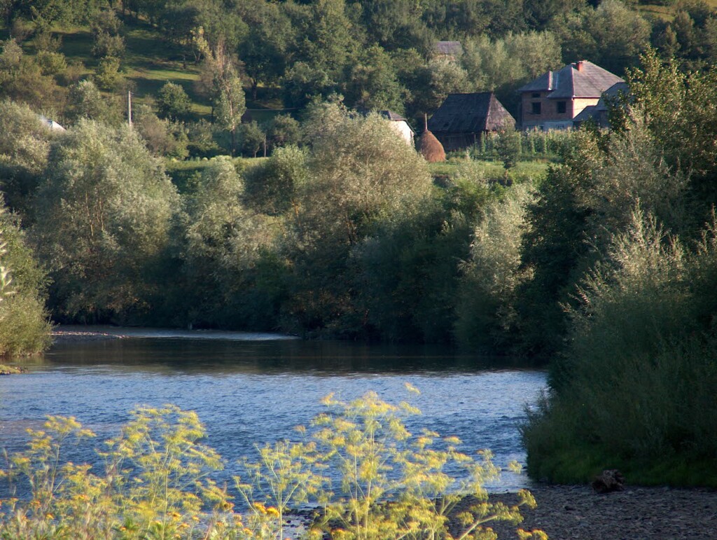 Valea Izei